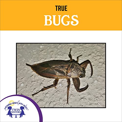 Cover of True Bugs