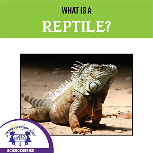 Cover of What Is a Reptile?