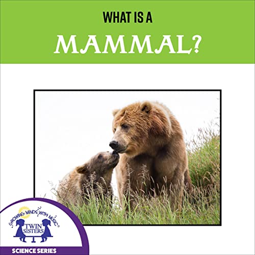 Cover of What Is a Mammal?