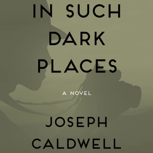 Cover of In Such Dark Places