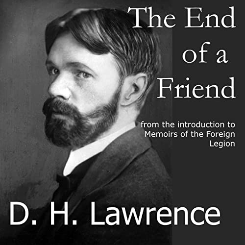 Cover of The End of a Friend