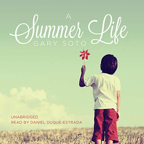 Cover of A Summer Life