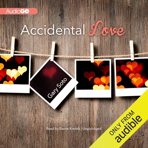 Cover of Accidental Love