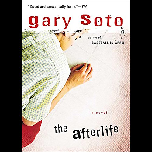 Cover of The Afterlife