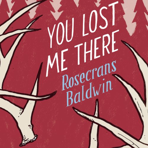 Cover of You Lost Me There