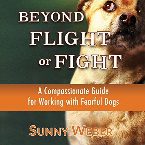 Cover of Beyond Flight or Fight