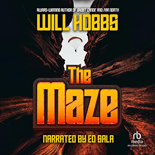 Cover of The Maze