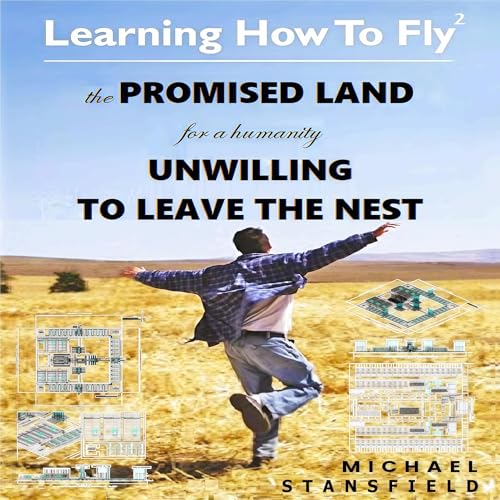 Cover of Learning How to Fly2