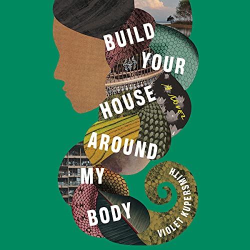 Cover of Build Your House Around My Body
