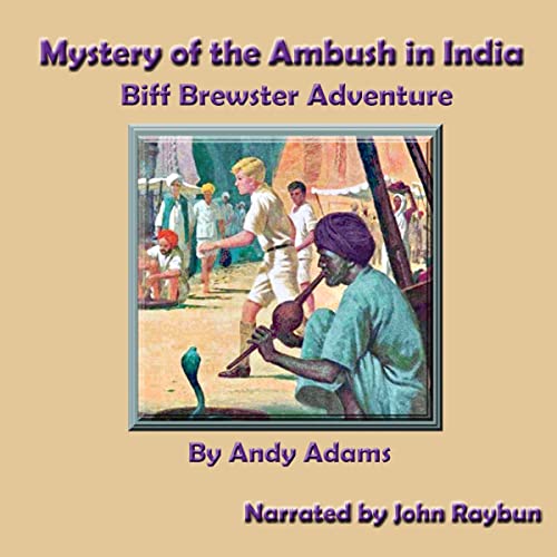 Cover of Mystery of the Ambush in India