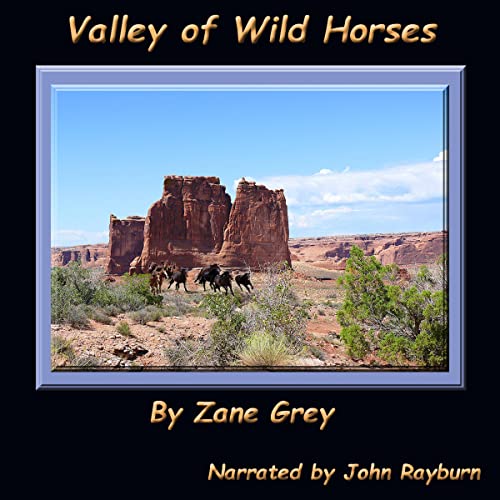 Cover of Valley of Wild Horses