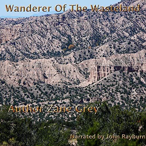 Cover of Wanderer of the Wasteland
