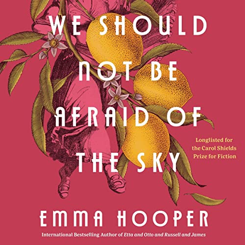 Cover of We Should Not Be Afraid of the Sky