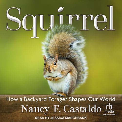 Cover of Squirrel