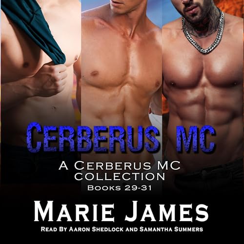 Cover of Cerberus MC Box Set 9