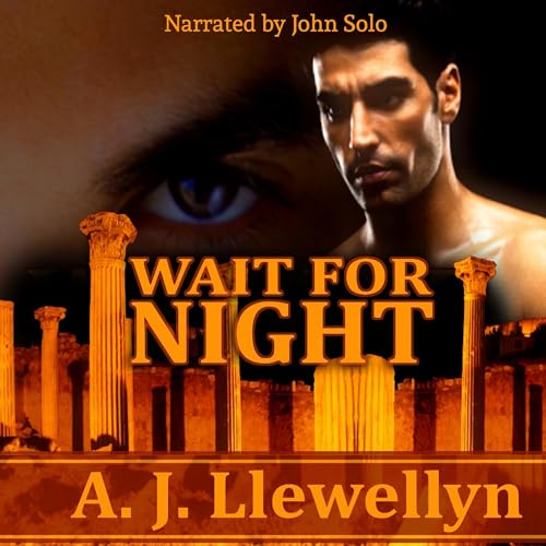 Cover of Wait for Night