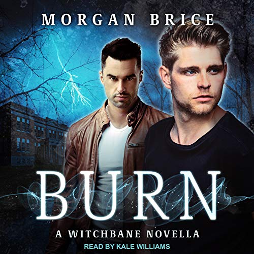 Cover of Burn