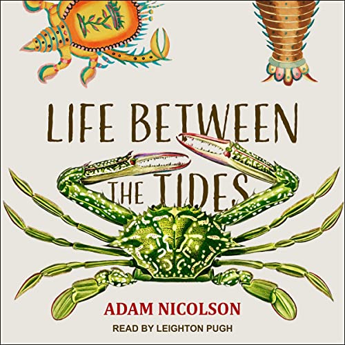 Cover of Life Between the Tides