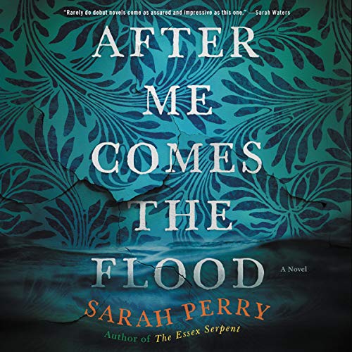 Cover of After Me Comes the Flood