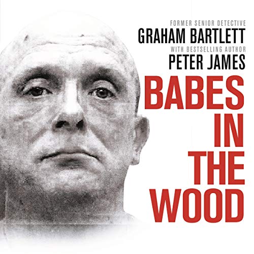 Cover of Babes in the Wood