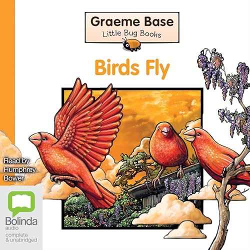 Cover of Birds Fly