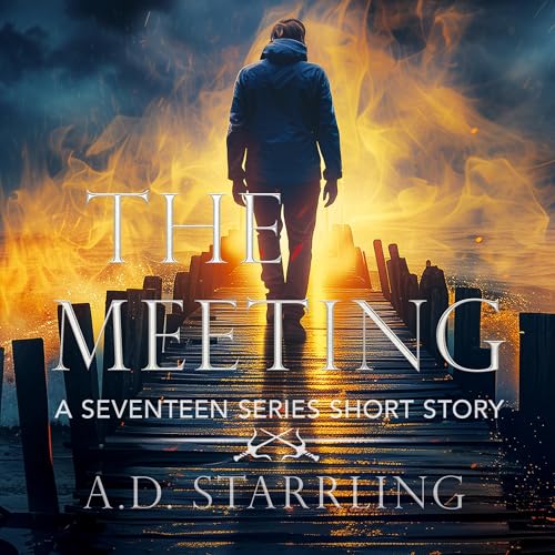Cover of The Meeting