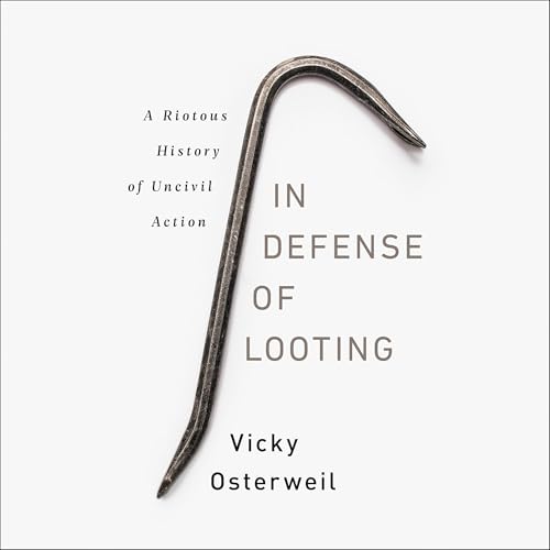 Cover of In Defense of Looting