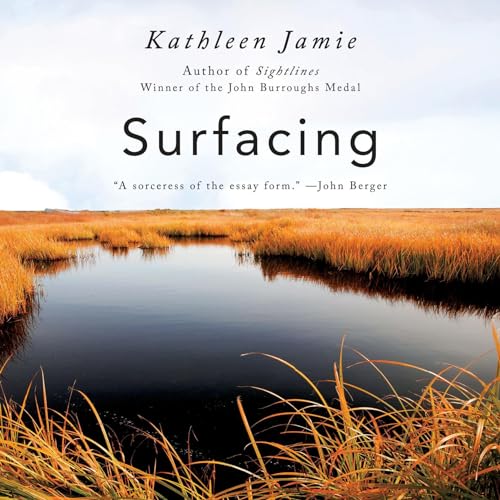 Cover of Surfacing