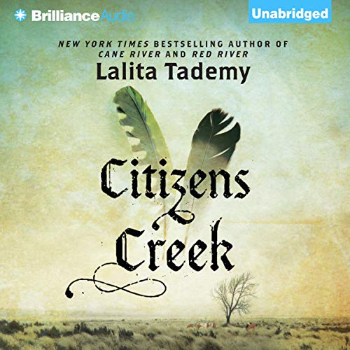 Cover of Citizens Creek