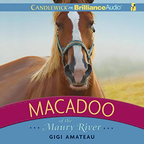 Cover of Macadoo of the Maury River