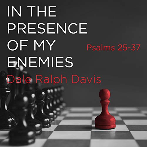 Cover of In the Presence of My Enemies