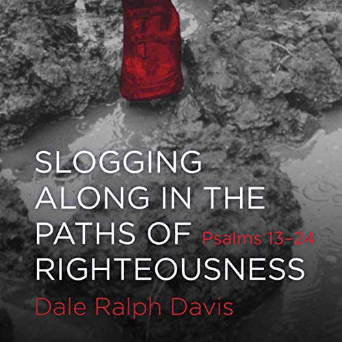 Cover of Slogging Along in the Paths of Righteousness
