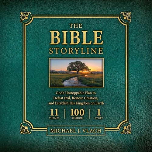 Cover of The Bible Storyline