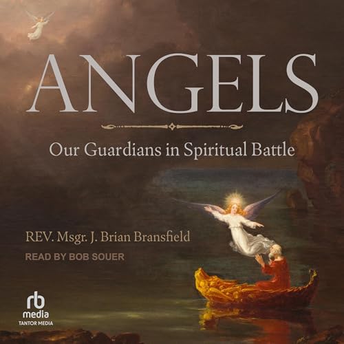 Cover of Angels