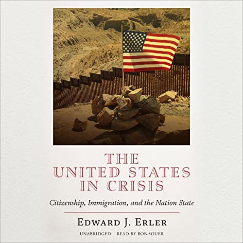 Cover of The United States in Crisis