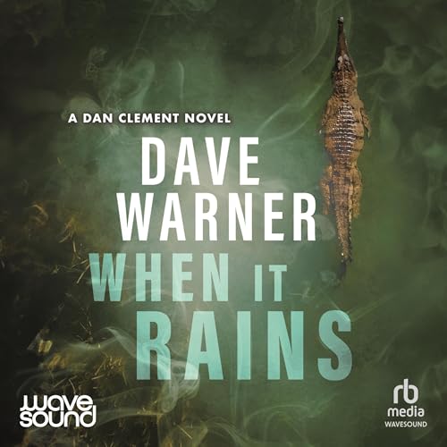 Cover of When It Rains