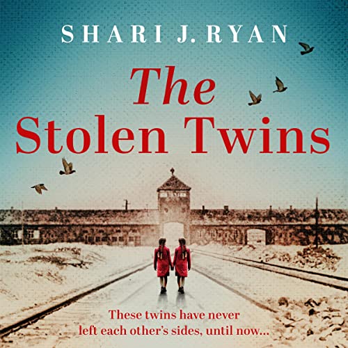 Cover of The Stolen Twins