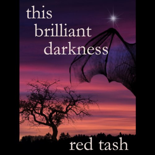 Cover of This Brilliant Darkness