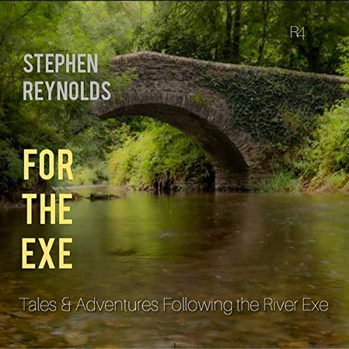 Cover of For the Exe