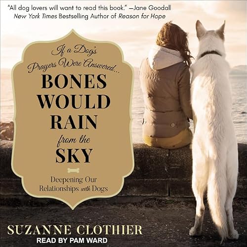 Cover of Bones Would Rain from the Sky