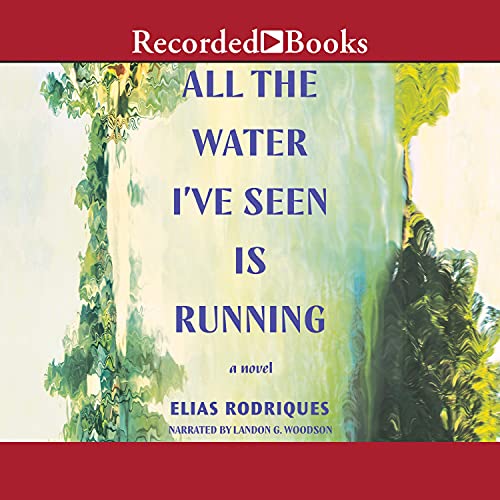 Cover of All the Water I've Seen Is Running
