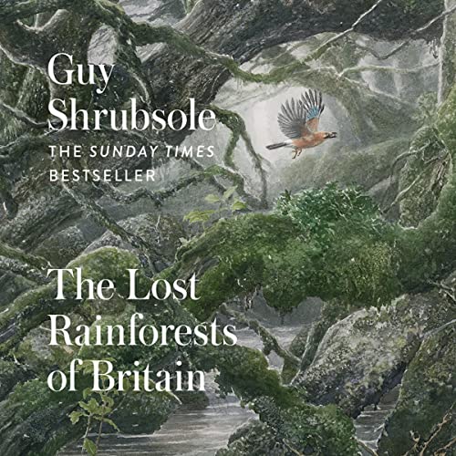 Cover of The Lost Rainforests of Britain