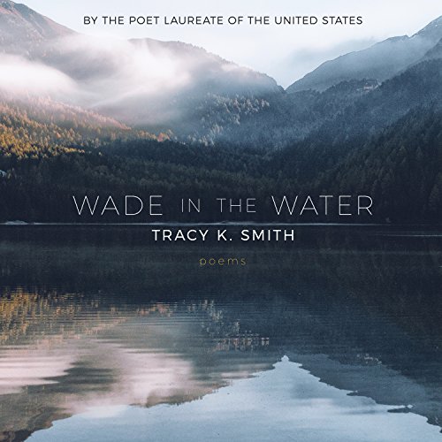 Cover of Wade in the Water: Poems