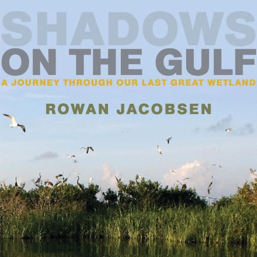 Cover of Shadows on the Gulf