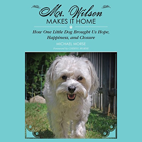 Cover of Mr. Wilson Makes It Home