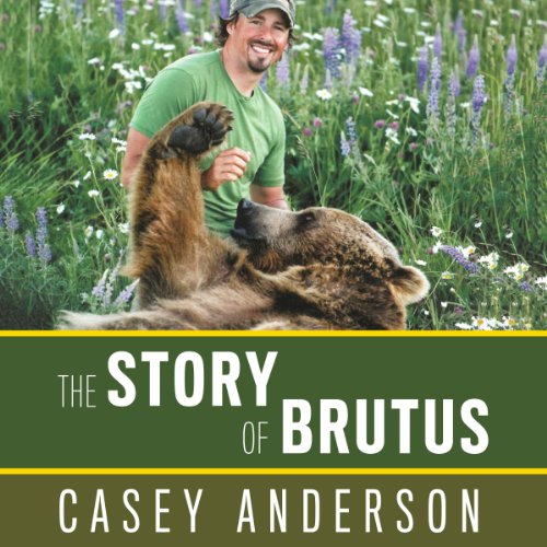 Cover of The Story of Brutus