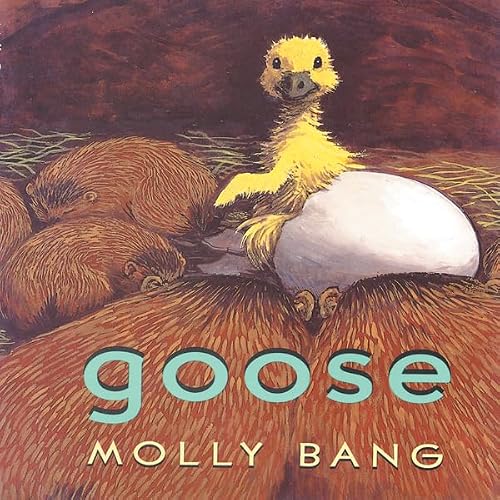 Cover of Goose