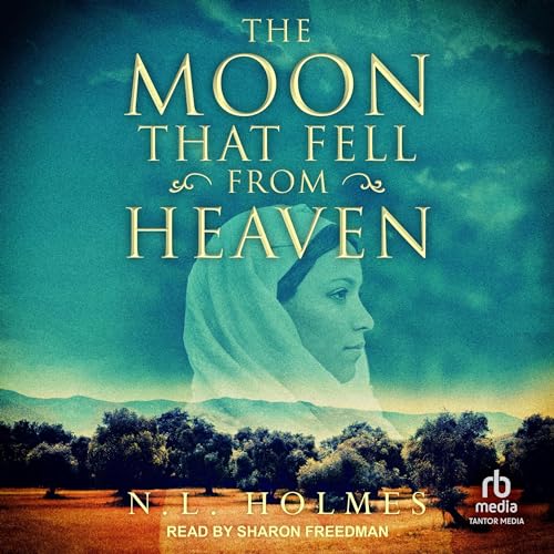 Cover of The Moon That Fell From Heaven