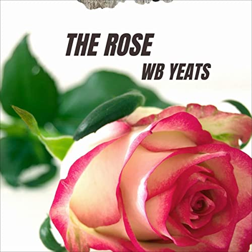 Cover of The Rose