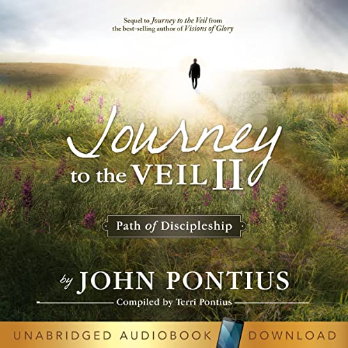Cover of Journey to the Veil II